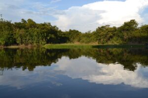 Trombetas river in the Trombetas Biological Reserve