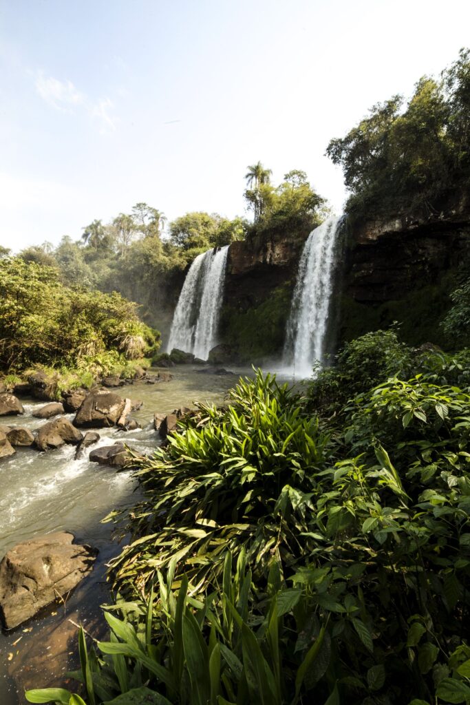Cachoeira caindo de paredao em floresta tropical