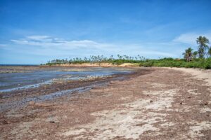 Cajueiro da Praia coastline at low tide