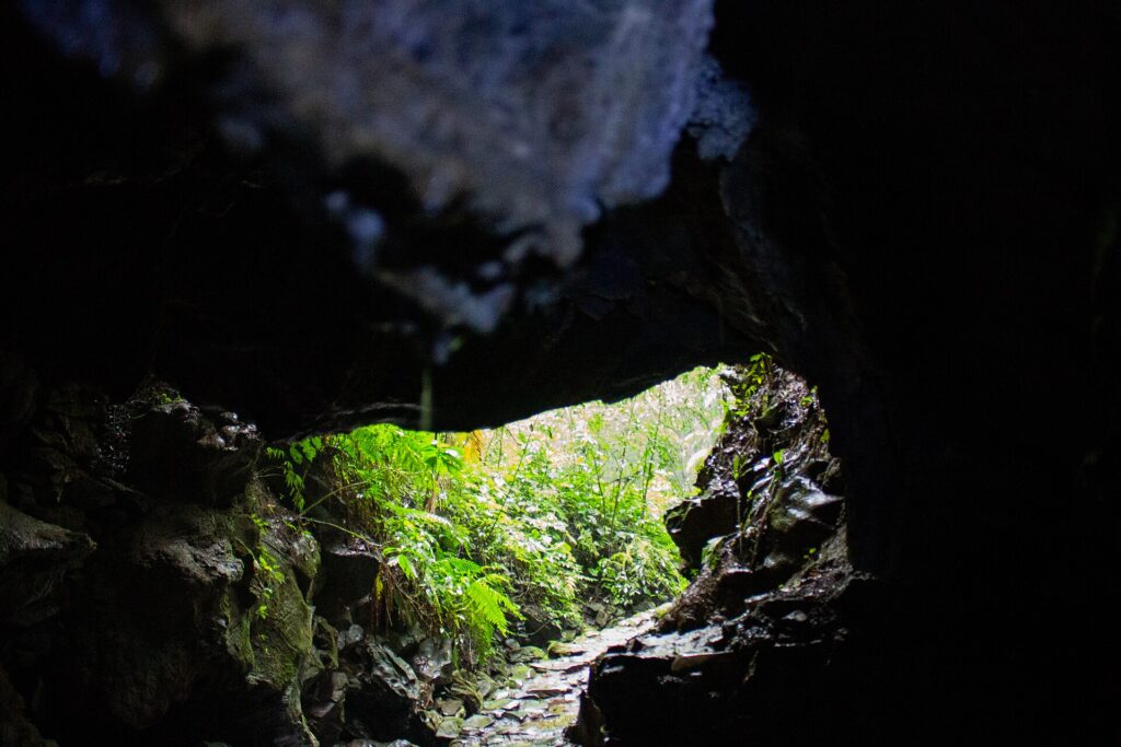 Formations of Santana Cave, PETAR
