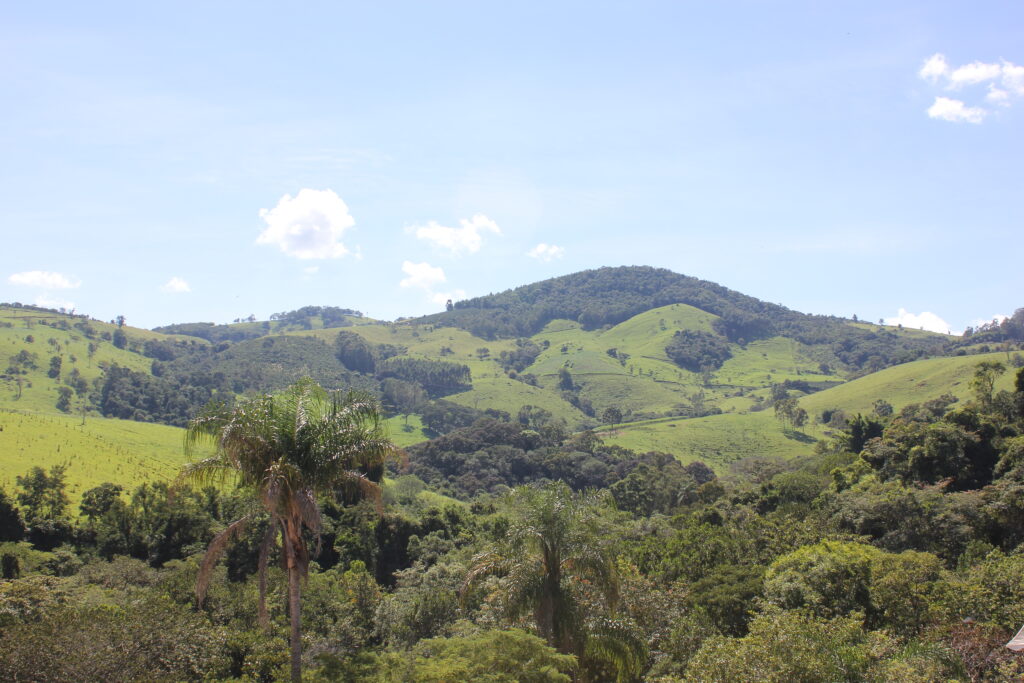 Green hills and forest in the countryside of Socorro, São Paulo