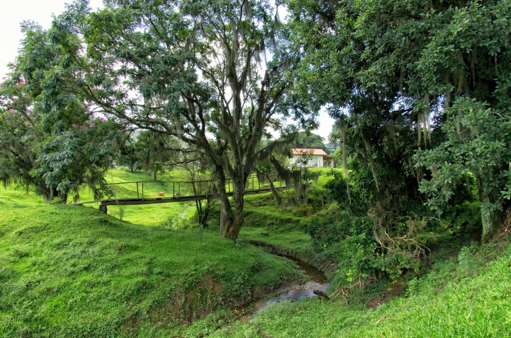 Rural road between São Rudgero and Anitápolis