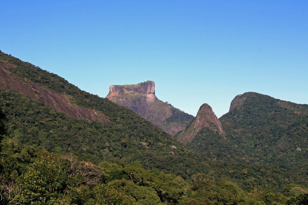 Trilha na Floresta da Tijuca