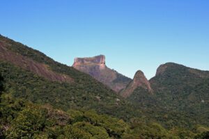 Trail in Tijuca Forest