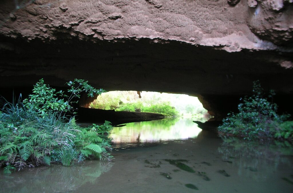 Gruta do Catão entrance with vegetation