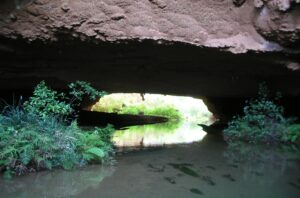 Gruta do Catão entrance with vegetation