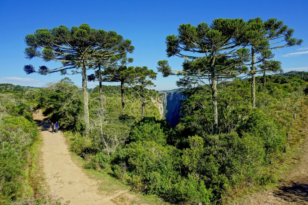 Itaimbezinho Canyon, Aparados da Serra