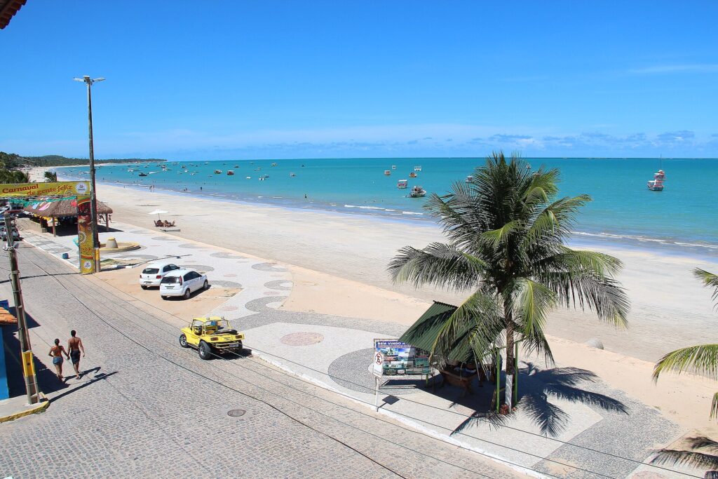 Maragogi shoreline with palm trees