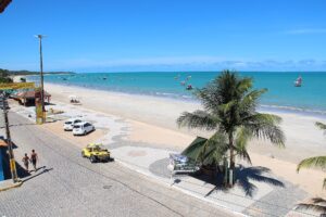 Maragogi shoreline with palm trees