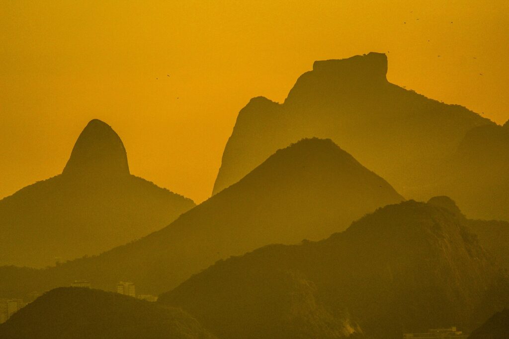 Tijuca National Park forest