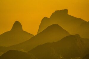 Tijuca National Park forest