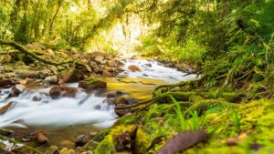 Stream among rocks in PETAR forest