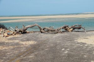 Barra Grande beach, Piauí