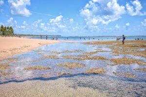Taipu de Fora natural pools