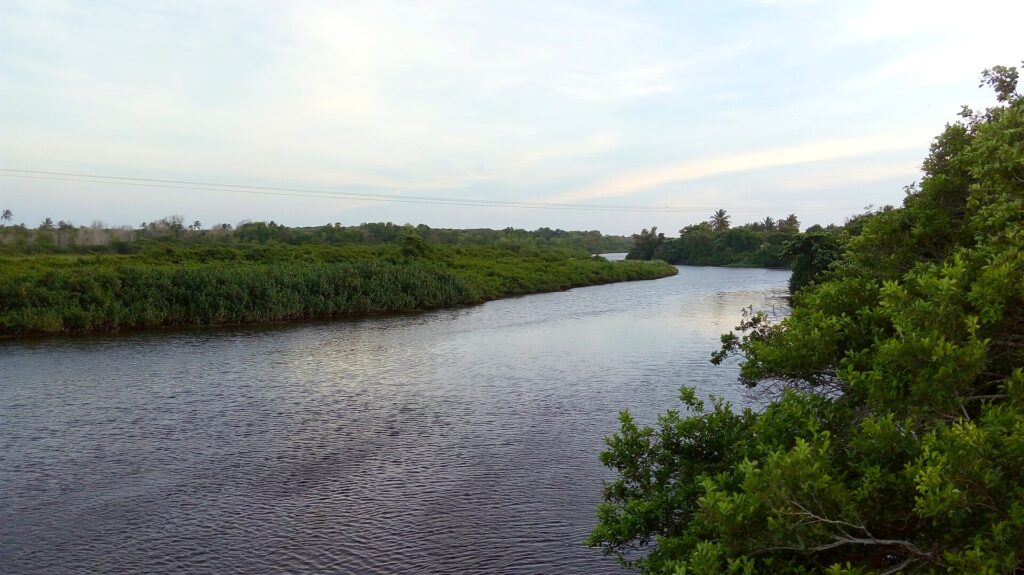 Rio Itaúnas