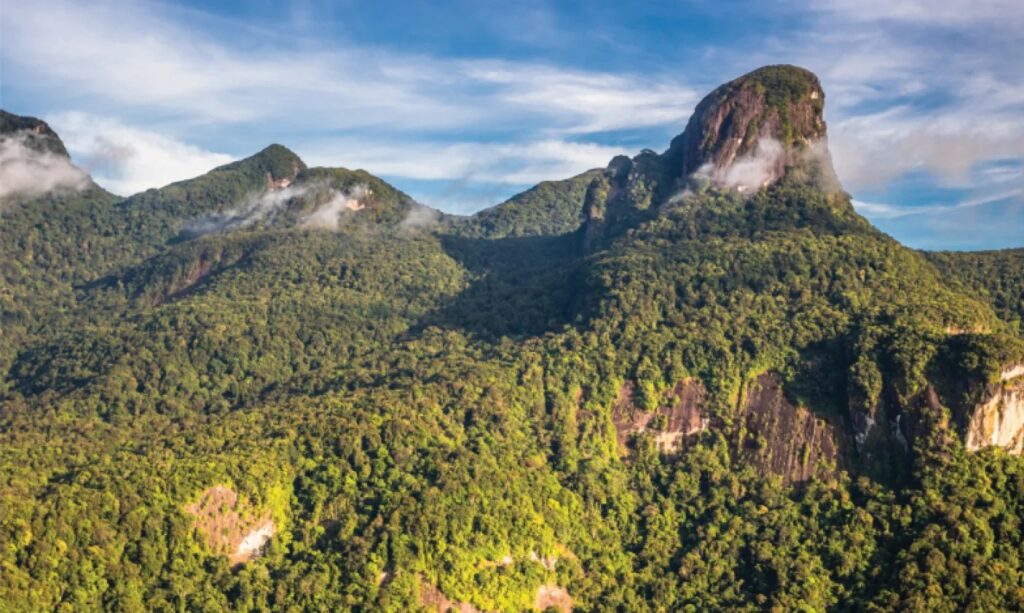 Forested peak of Serra da Mocidade among clouds