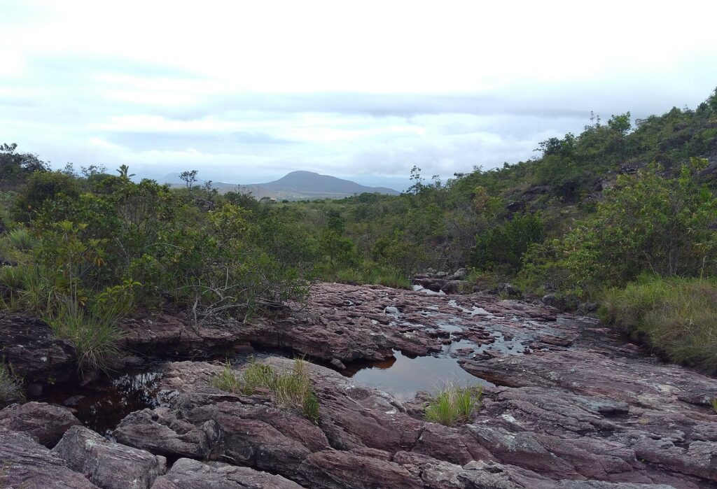 Riacho na Serra do Tepequém