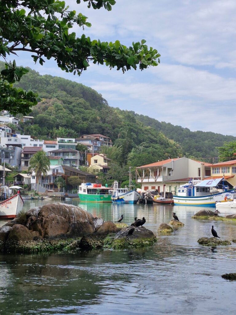 Vila de pescadores com barcos e mata ao fundo